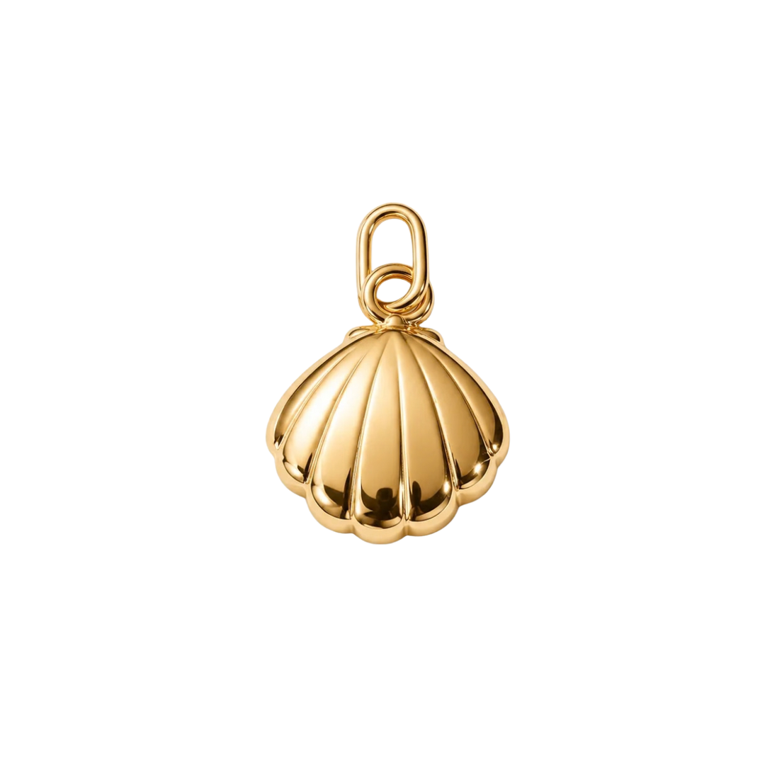 Charm Shell